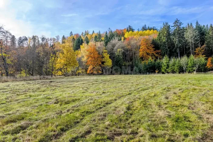 Prodej pozemku pro bydlení, Konstantinovy Lázně, 4111 m2