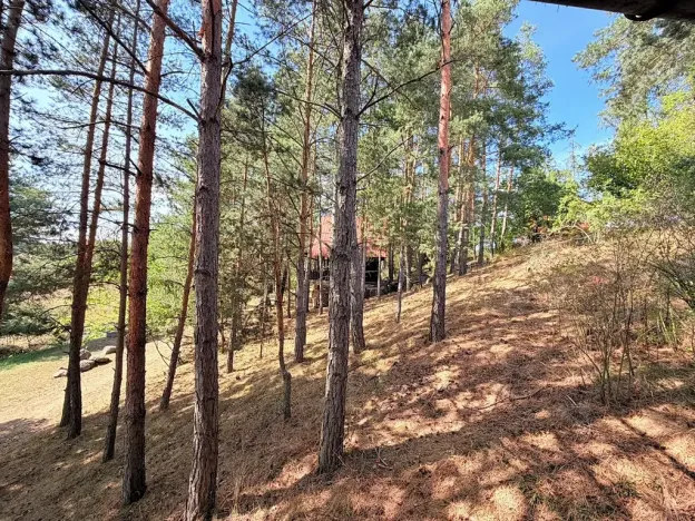 Prodej chalupy, Trnava, 124 m2
