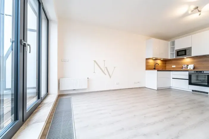 Pronájem bytu 1+kk, Brno, Opuštěná, 29 m2