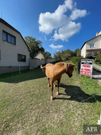 Prodej pozemku pro bydlení, Pašovice, 1279 m2