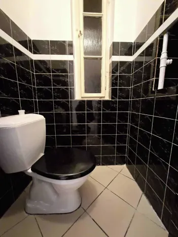 Pronájem bytu 3+1, Praha - Vinohrady, Mánesova, 90 m2