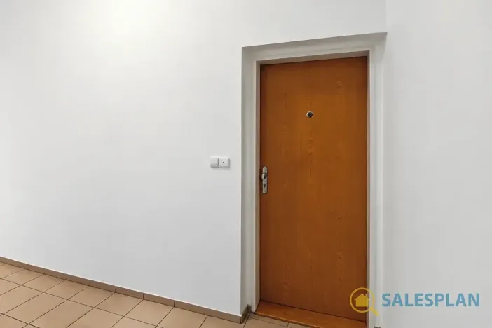 Prodej bytu 2+kk, Praha - Žižkov, Havlíčkovo náměstí, 34 m2