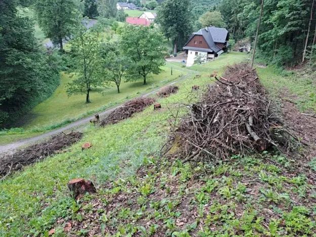 Prodej lesa, Rybná nad Zdobnicí, 1377 m2