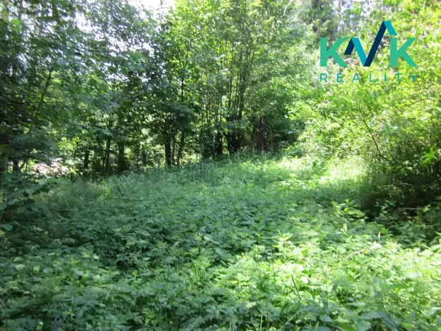 Prodej pozemku, Nejdek, 3489 m2