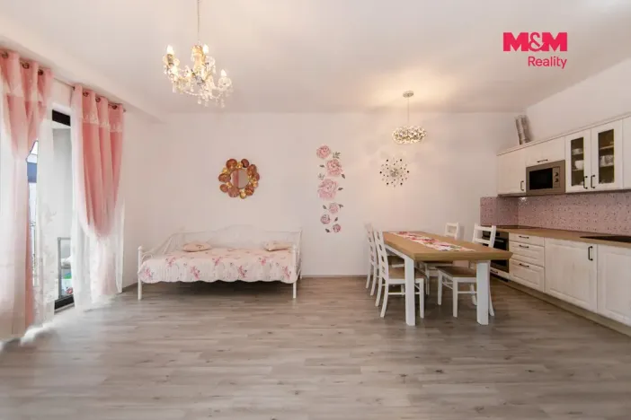 Prodej bytu 2+kk, Plzeň - Jižní Předměstí, Železná, 65 m2