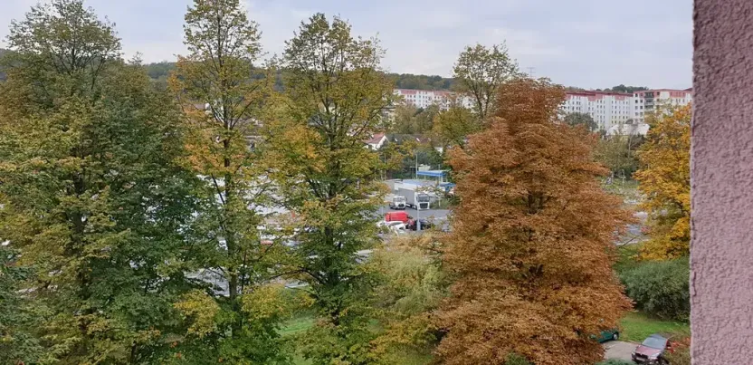 Prodej bytu 2+1, Ústí nad Labem, 17. listopadu, 50 m2