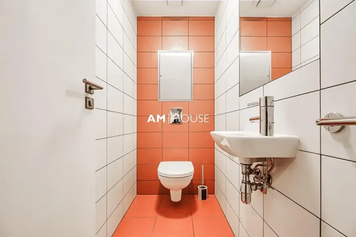 Pronájem bytu 4+kk, Praha - Vinohrady, Mánesova, 130 m2