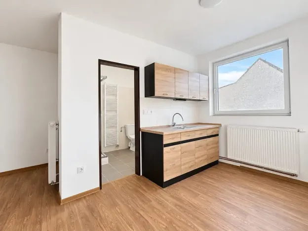Pronájem bytu 1+kk, Choceň, Na Bílé, 39 m2