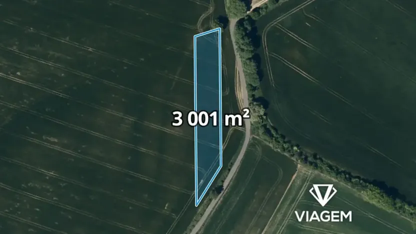 Prodej podílu pole, Otaslavice, 1500 m2