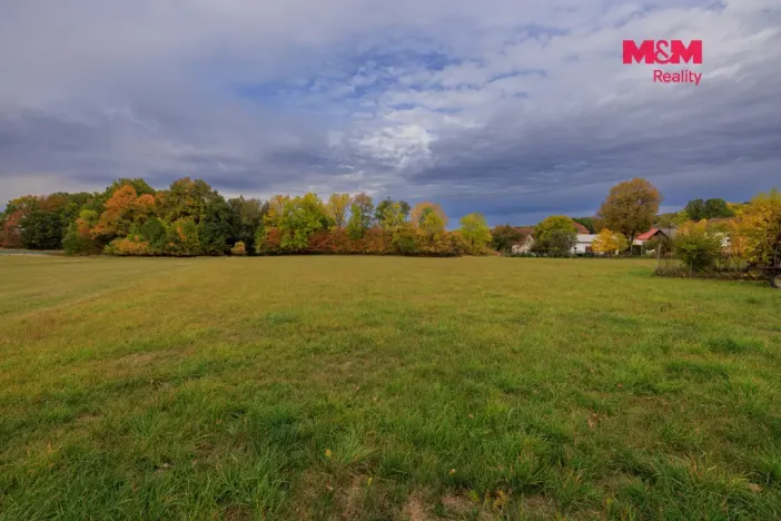 Prodej louky, Lužany - Zelené, 5700 m2
