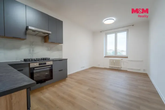 Pronájem bytu 3+kk, Plzeň - Východní Předměstí, Francouzská třída, 55 m2