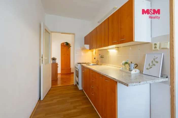 Prodej bytu 2+1, České Budějovice - České Budějovice 3, Plzeňská, 65 m2