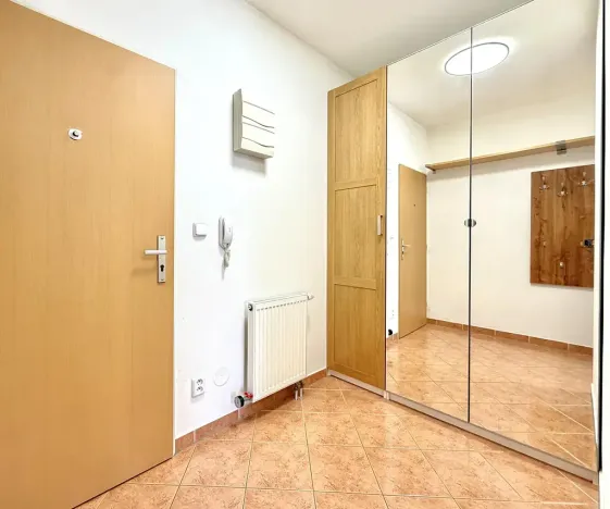 Pronájem bytu 1+kk, Brno, Bělohorská, 41 m2
