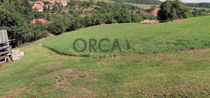 Prodej louky, Košíky, 3748 m2