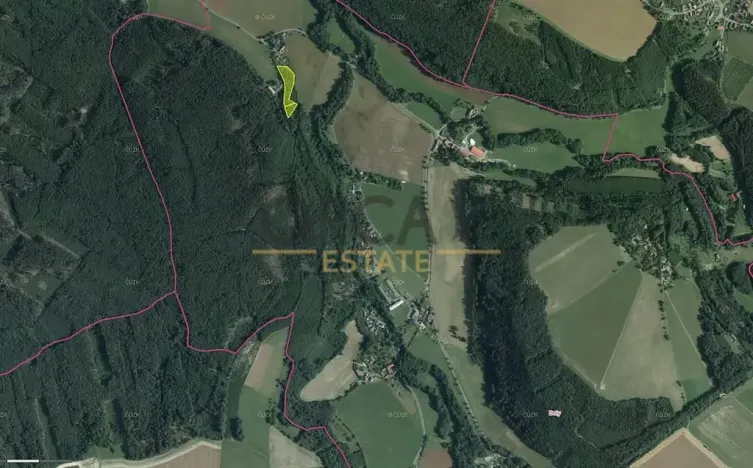 Prodej louky, Luže, 6578 m2