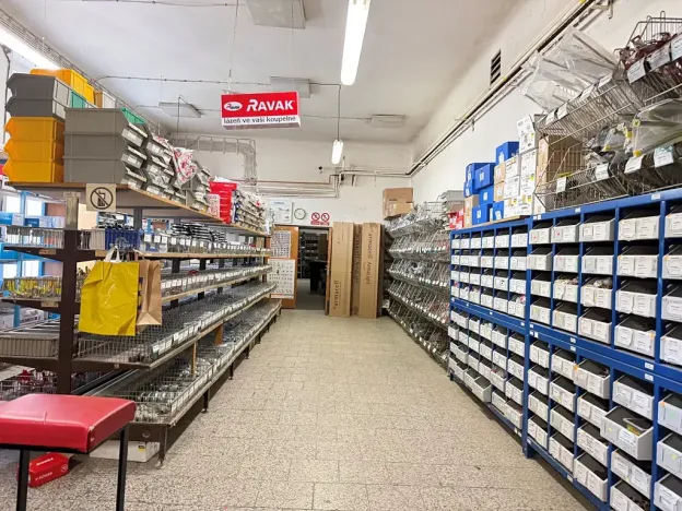 Pronájem - jiné, Praha - Žižkov, Vlkova, 200 m2