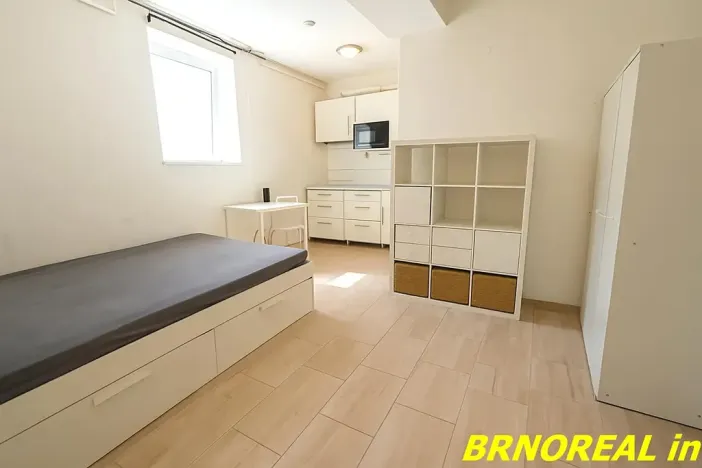 Pronájem bytu 1+kk, Brno, Vodní, 20 m2