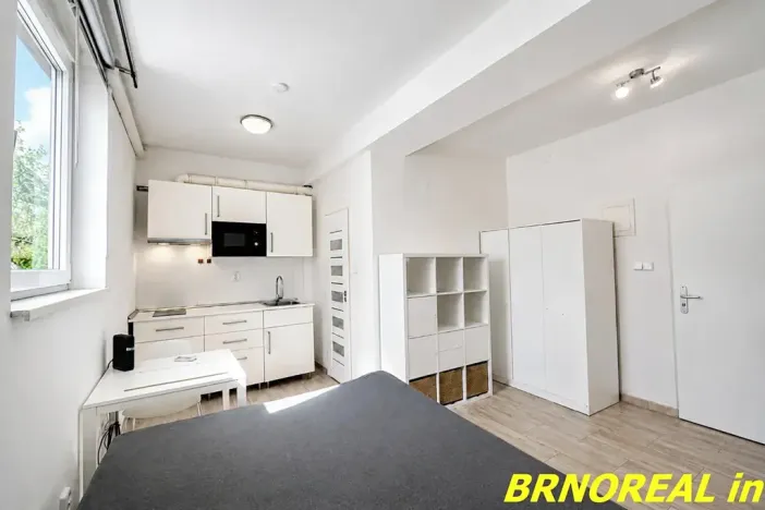 Pronájem bytu 1+kk, Brno, Vodní, 20 m2