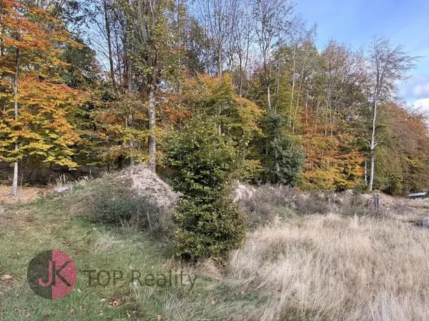 Prodej rodinného domu, Litvínov, 115 m2