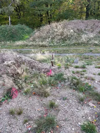 Prodej rodinného domu, Litvínov, 115 m2