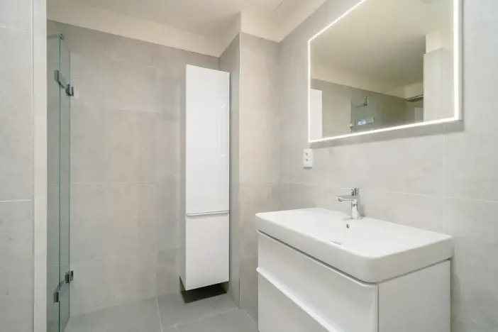 Prodej bytu 2+kk, Praha - Karlín, Jirsíkova, 73 m2