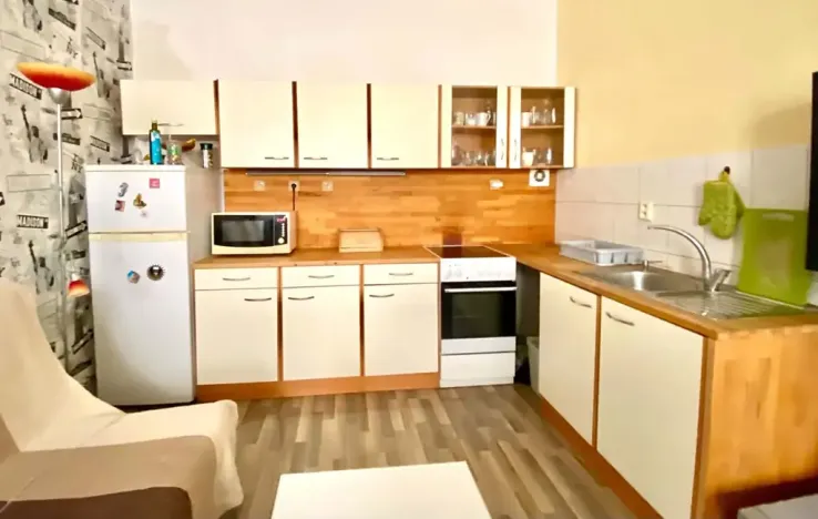 Pronájem bytu 1+1, Brno, Pekařská, 28 m2