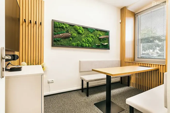 Pronájem kanceláře, Brno, Plotní, 93 m2