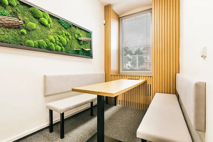 Pronájem kanceláře, Brno, Plotní, 93 m2