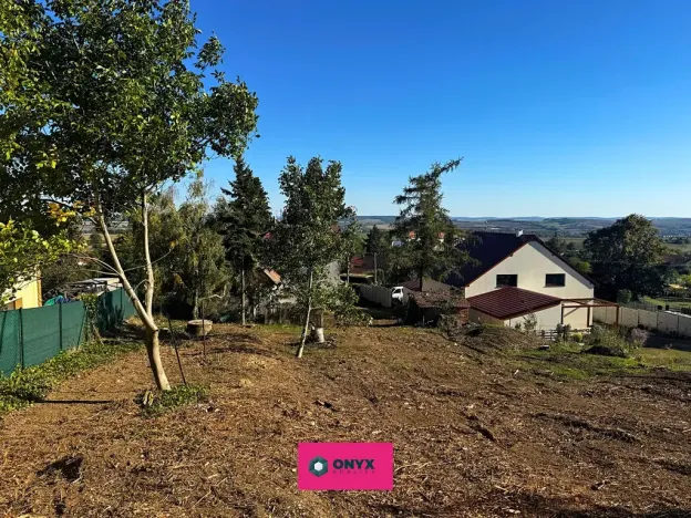 Prodej pozemku pro bydlení, Olšany, 6031 m2