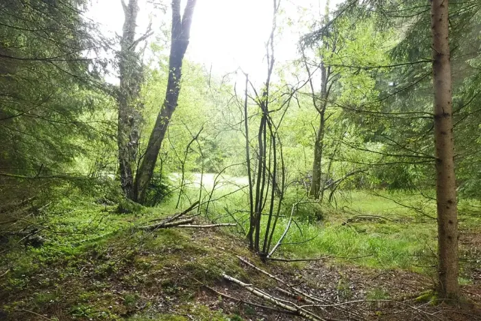 Dražba pozemku, Číměř, 7409 m2