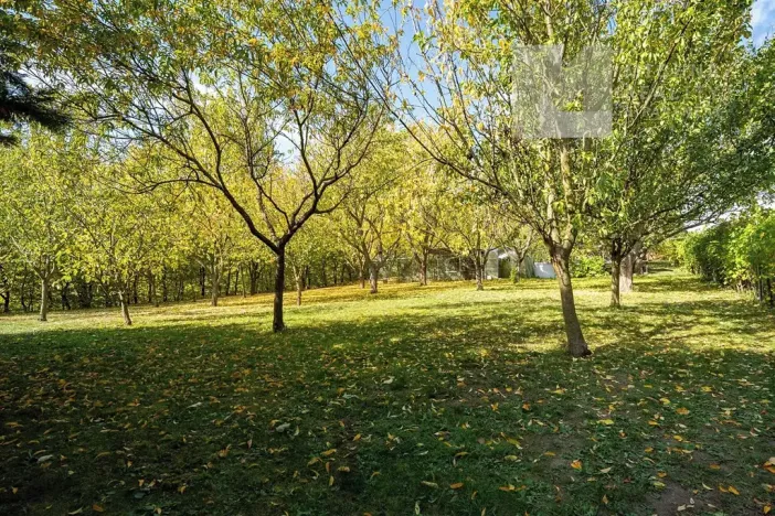 Prodej ubytování, Koryčany, 296 m2