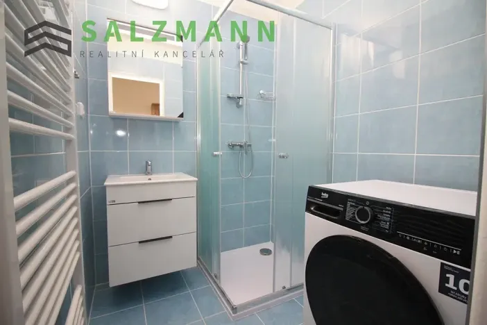 Pronájem bytu 2+1, Plzeň, Zámečnická, 60 m2