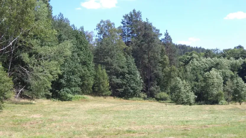 Prodej pole, Mařenice, 19744 m2