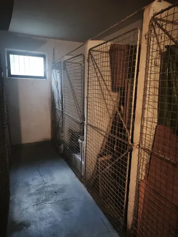 Pronájem bytu 3+1, Praha - Záběhlice, Jasmínová, 73 m2