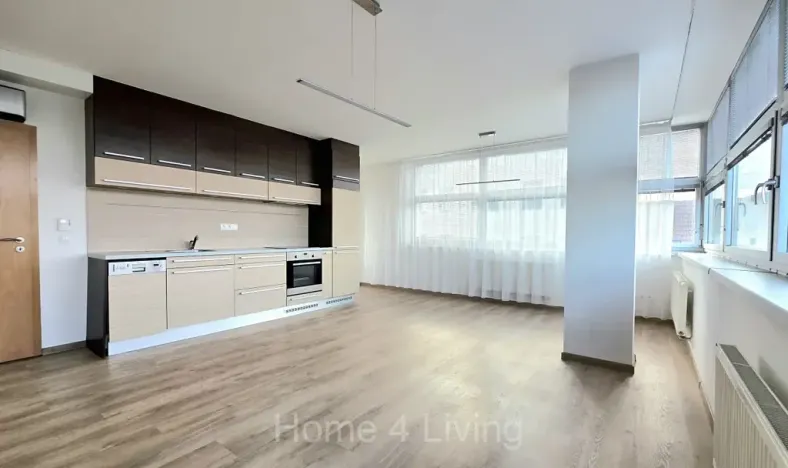 Pronájem bytu 2+kk, Brno, Palackého třída, 61 m2