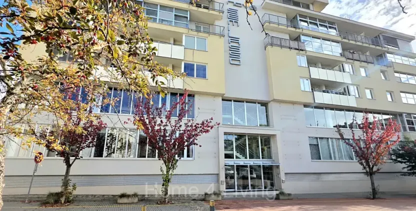 Pronájem bytu 2+kk, Brno, Palackého třída, 61 m2