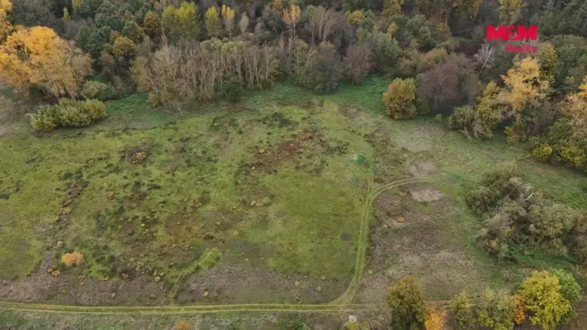 Prodej louky, Obříství, 3469 m2