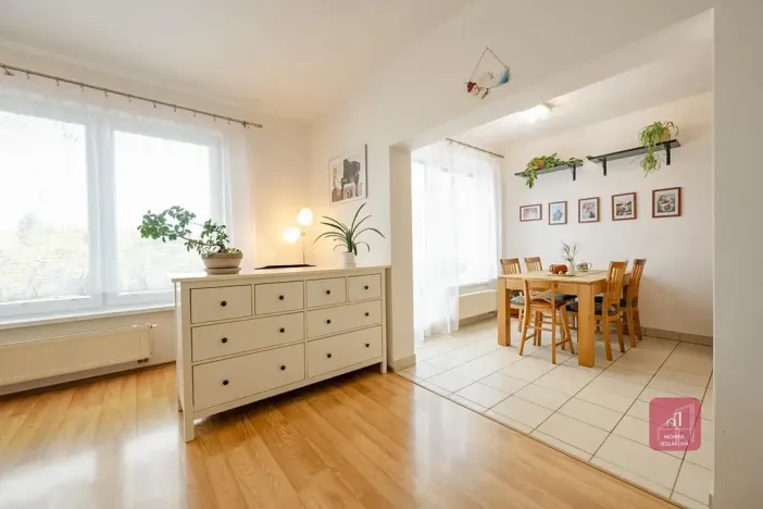 Prodej bytu 3+kk, Brno, Leskauerova, 110 m2