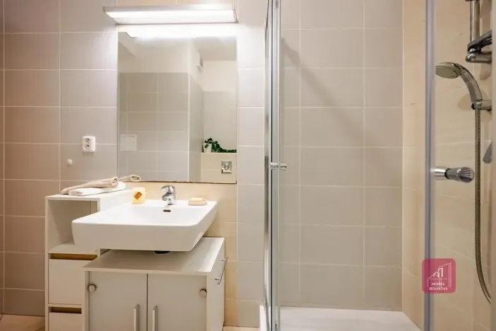 Prodej bytu 3+kk, Brno, Leskauerova, 110 m2