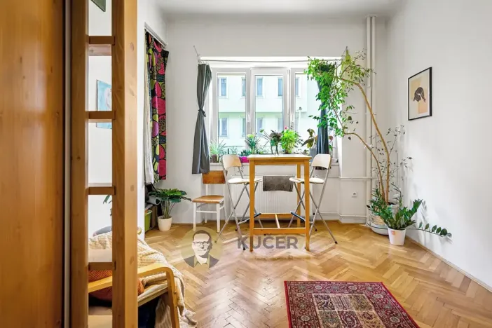 Pronájem bytu 1+kk, Praha - Vinohrady, V Horní Stromce, 22 m2