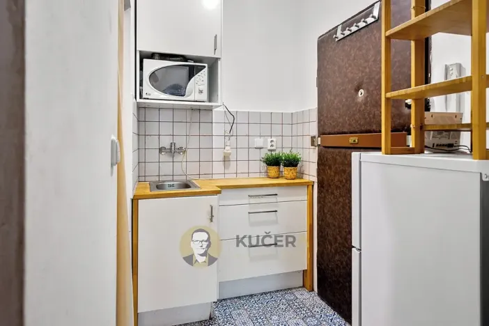 Pronájem bytu 1+kk, Praha - Vinohrady, V Horní Stromce, 22 m2