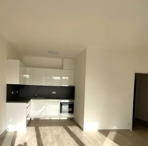 Prodej bytu 1+kk, Brno, Střední, 42 m2