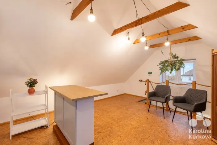 Pronájem rodinného domu, Káraný, K Přívozu, 165 m2