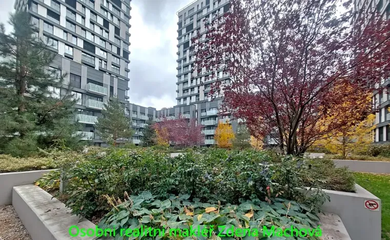Pronájem bytu 1+kk, Praha - Žižkov, Olšanská, 33 m2