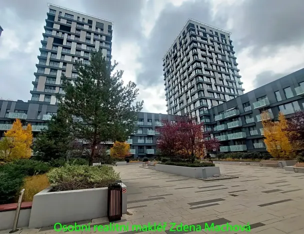 Pronájem bytu 1+kk, Praha - Žižkov, Olšanská, 33 m2