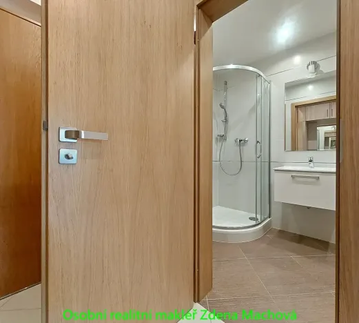 Pronájem bytu 1+kk, Praha - Žižkov, Olšanská, 33 m2