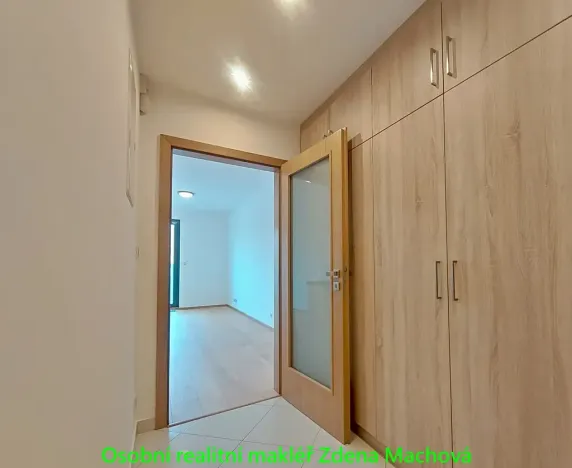 Pronájem bytu 1+kk, Praha - Žižkov, Olšanská, 33 m2