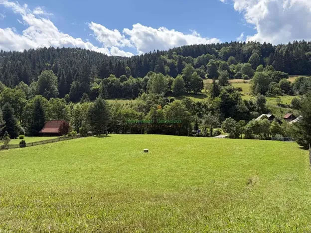 Prodej pozemku pro bydlení, Nový Hrozenkov, 6138 m2