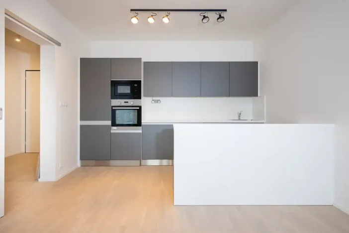 Pronájem bytu 3+kk, Praha - Nusle, V Horkách, 82 m2