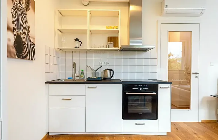 Pronájem bytu 1+kk, Praha - Vinohrady, Perucká, 25 m2